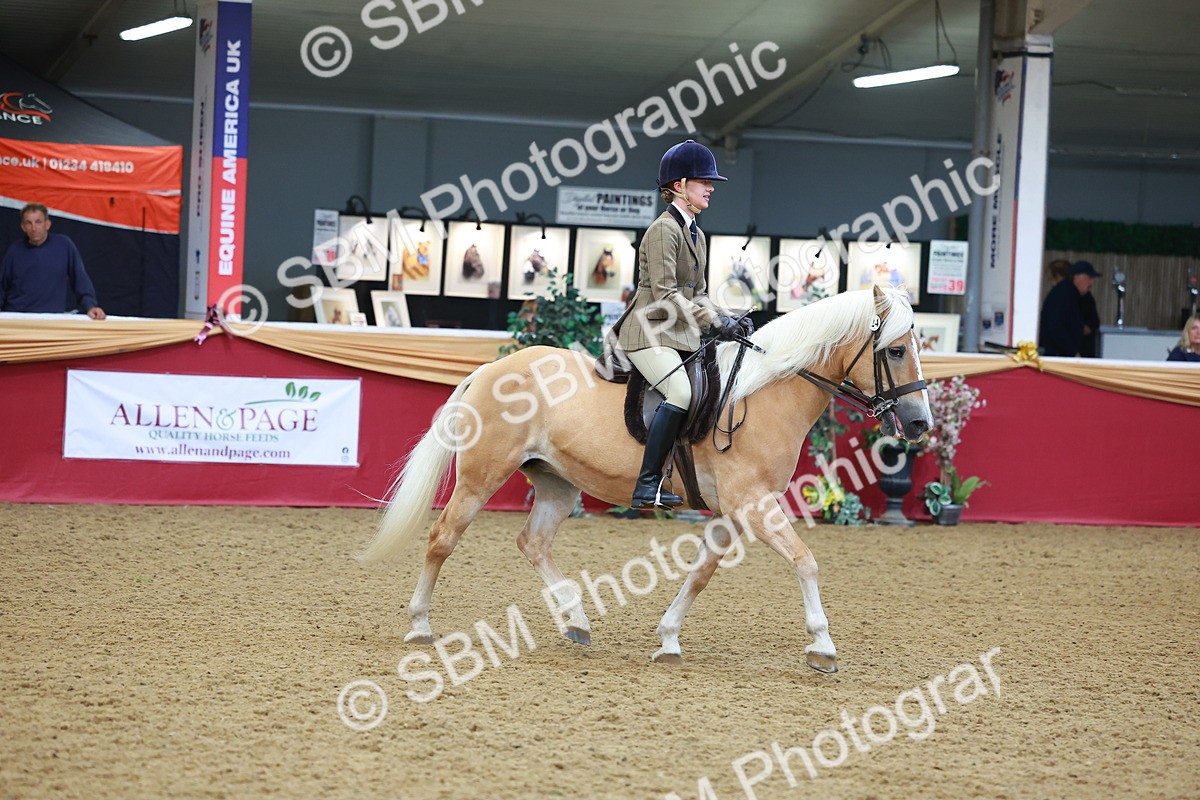 SBM_09783 - Class 102 - HOYS Veteran Qualifier - Ridden Veteran