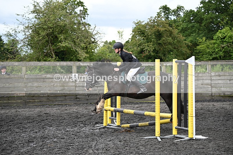 WJ6_0056 - Class 13 Novice 60cm