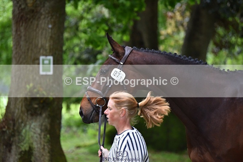 240522-170154-01339 - 274-JACK_OF_CLUBS-Rosalind_Canter