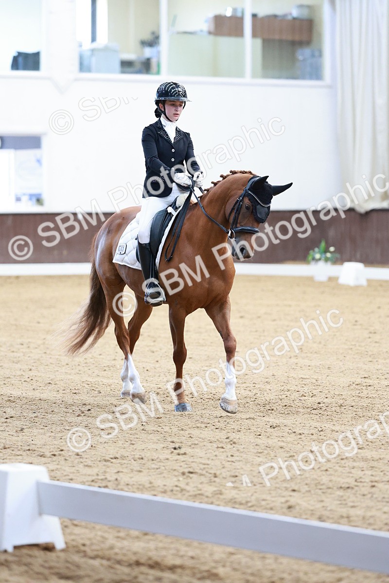 SBM_016777 - Class15 - FEI Pony