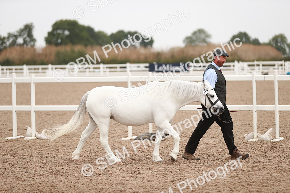 SBM_12393 - Class 207 IH M&M