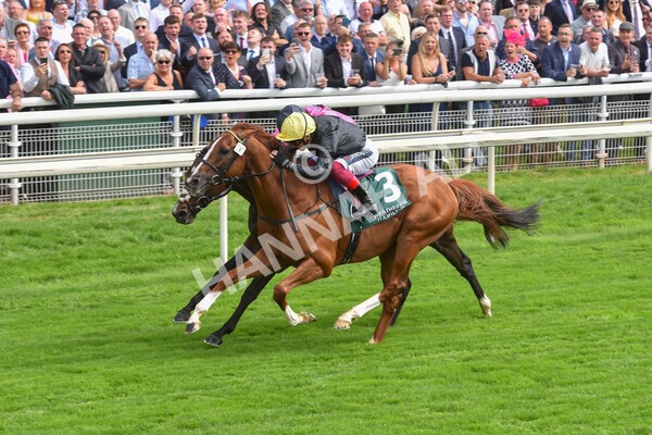 yr20082021r2-56 - Race 2 2.25pm Weatherbys Hamilton Lonsdale Cup (British Champion Series race)