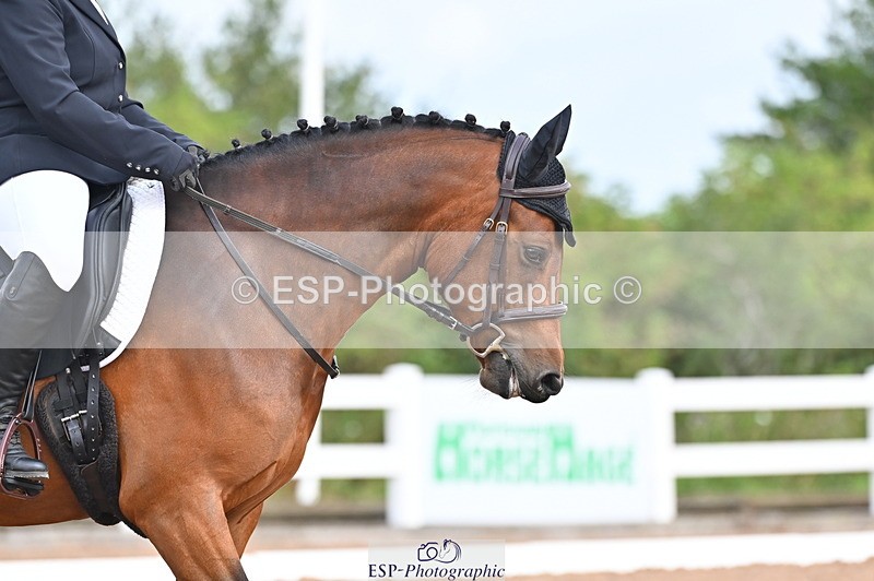 240817A-102324-07773 - 145-Carolyn.Gale-Newtown.Ringo