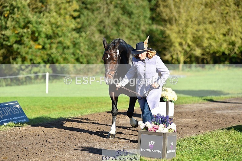 231022-100116-22183 - 475-ANDY.MAC-Hannah.COLMER-TrotUp+SJ