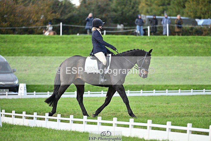 251024A-141133-12344 - D-369-Rosie.Moreton