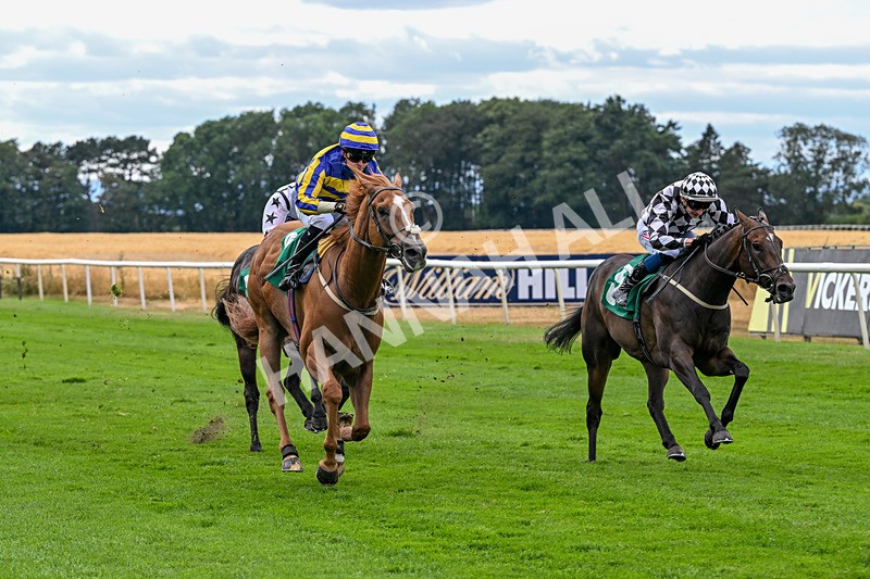 070826-Race 4-Azuinthejungle-1839 - Race 4 15.40pm Ladies' Day Saturday 5th September - Book Now Handicap