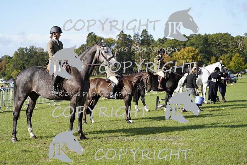 _DSC9549 - Class 8 & 17 Ridden Hunter & Ridden Hunter Pony
