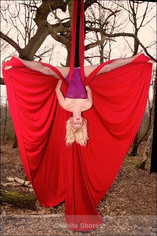  - Performers