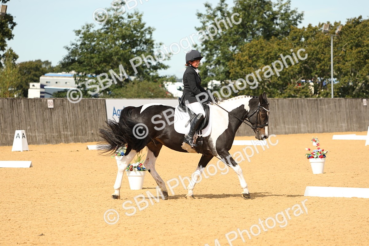 SBM_22203 - D17 - Grand Tour Championship - Novice 27
