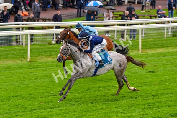 140723-Race 3-Symbology-8175 - Race 3 3.15pm William Hill Keep Your Raceday Positive Irish EBF Fillies' Novice Stakes
