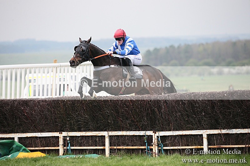 PtP 210418 102 - South & West Wilts Point-to-Point Larkhill 21/04/18