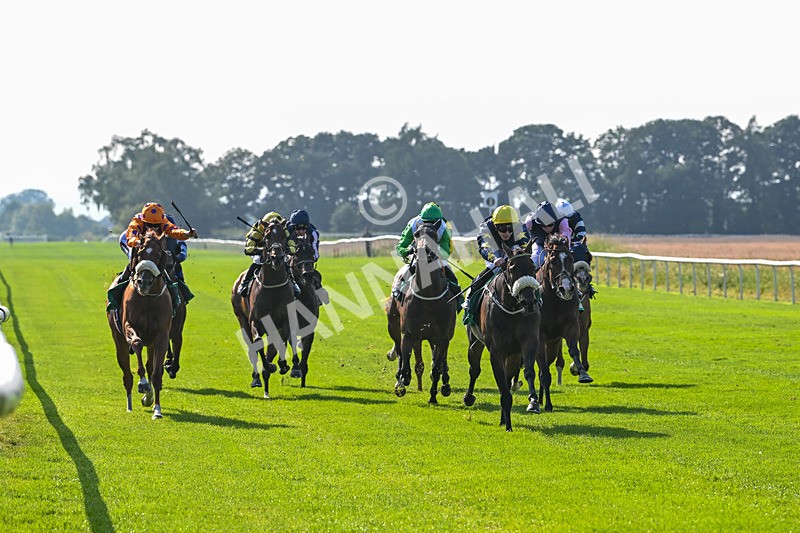 300824-Race 5-Shesashambles-6173 - Race 5