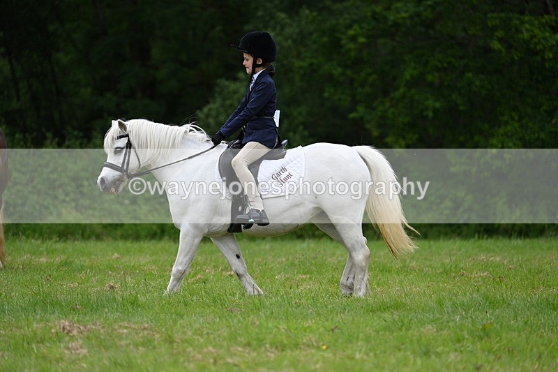WJ7_4479 - Class 14B Prettiest Mare