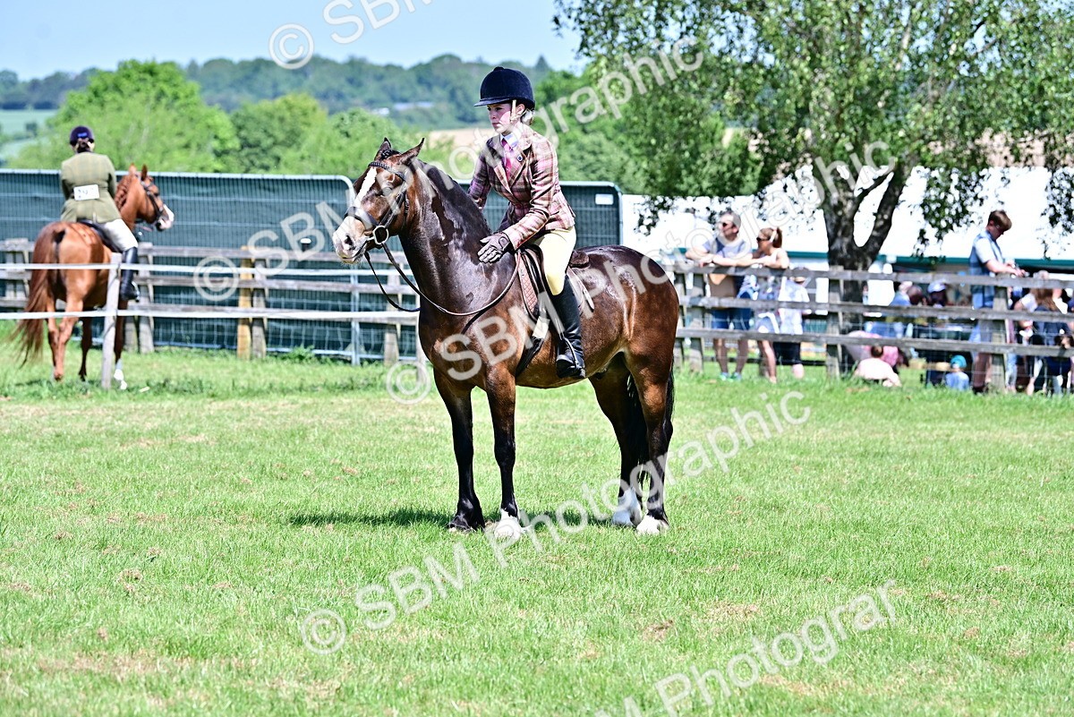 SBM_15417 - Class 95-97 - BSPS LHS Performance Ponies