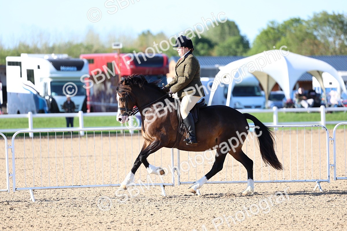 SBM_08785 - Class 302 - Ridden M&M - Large Breeds