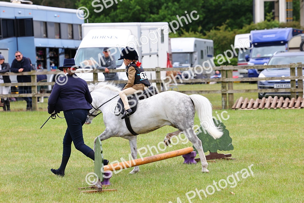 SBM_08135 - Class 42-43 - LIHS BSPS Heritage Working Sports Pony