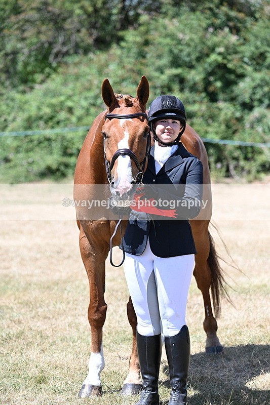 WJ7_2505 - Most Handsome Gelding Champs