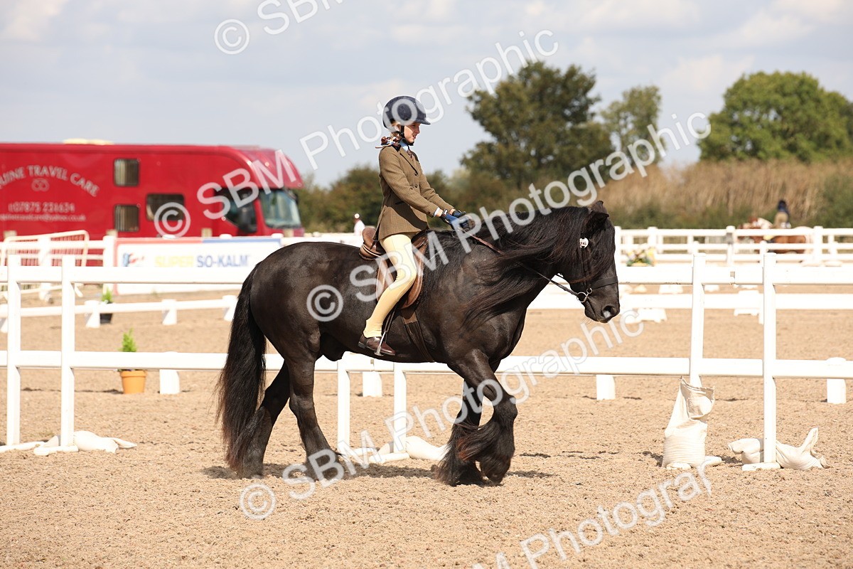 SBM_03737 - Class 19 Judge's Favourite