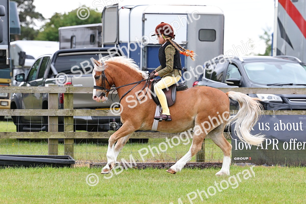 SBM_08746 - Class 42-43 - LIHS BSPS Heritage Working Sports Pony