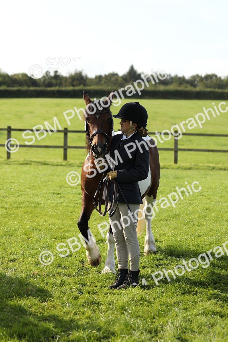 SBM_60973 - S43 - Coloured Pony In Hand