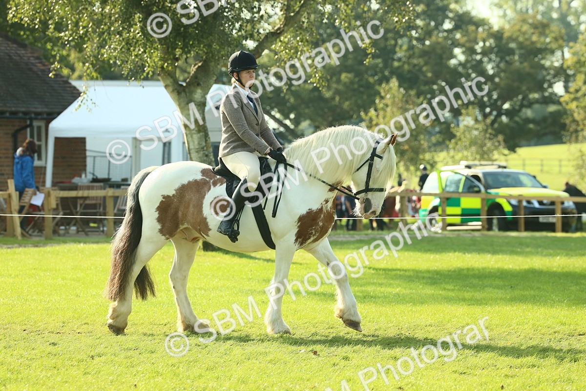 SBM_59309 - S38 - Starters Ridden Showing