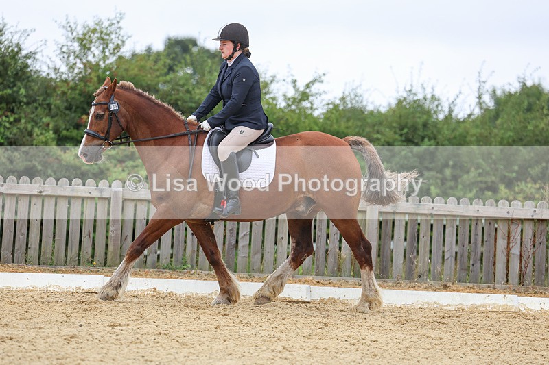 3E7A4740 - Class 1: Intro 4 2024 section A