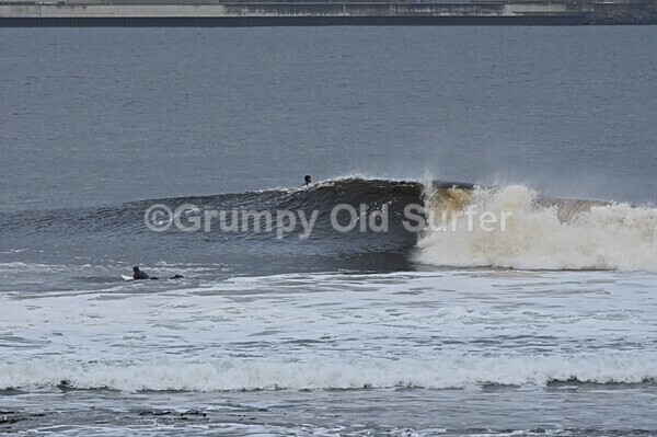 DSC_8801 - Thurso 6th November 2022