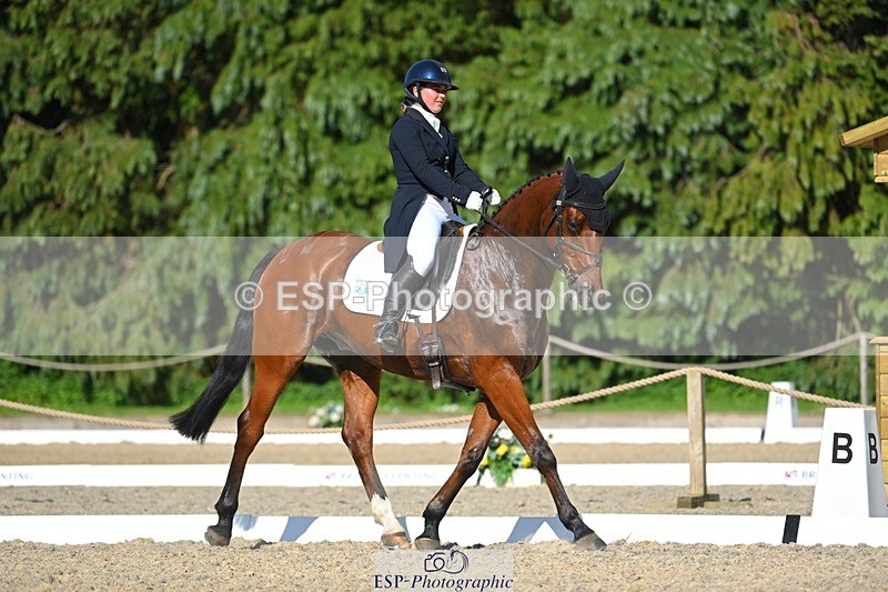 230526-173259-07637 - 264-BALLADEER_JUST_FOR_KICKS-Ellie_Healy-WEDTrotUp+DR