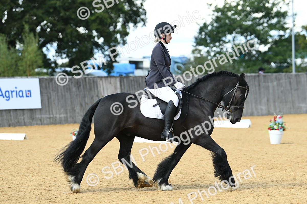 SBM_06610 - D15 Small Tour Championship Novice 24