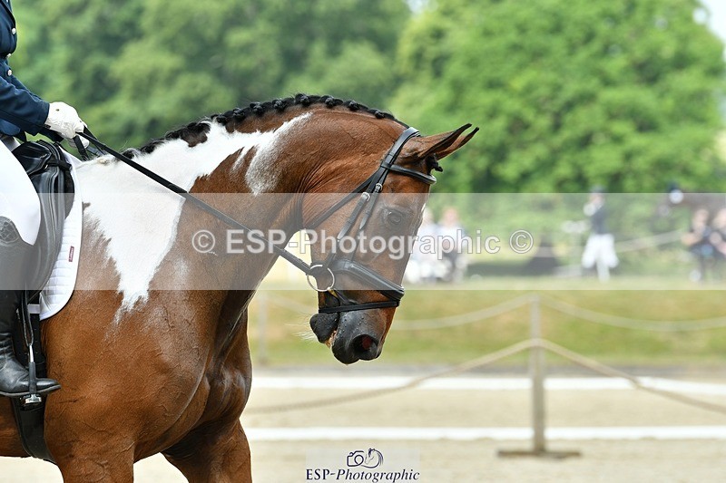 230623-111438-00399 - Cls 3 Novice 23 Start to 11.55 break