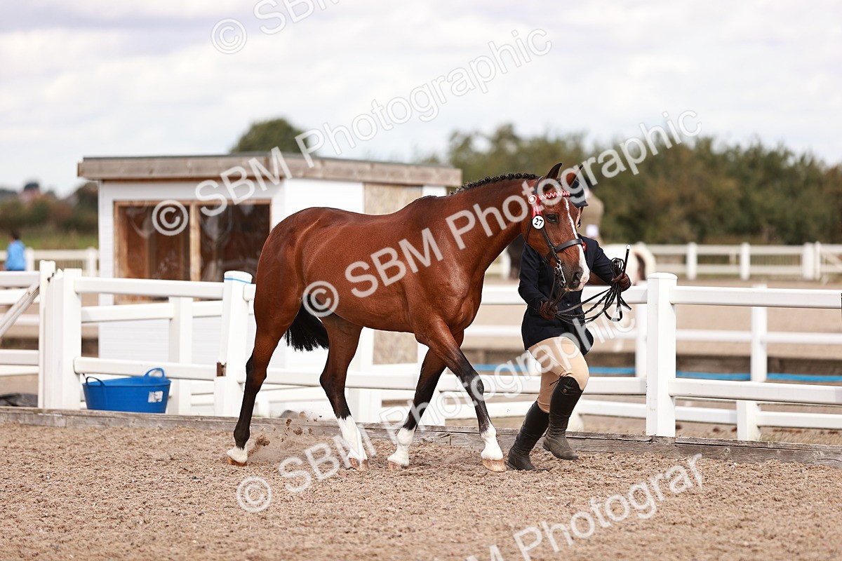 SBM_14183 - Class 407 - IH Hack Riding Horse