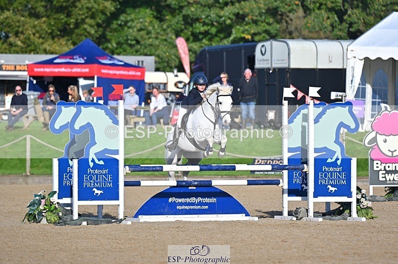 241027-100222-16203 - 381-William.Falango-JUST.BE.JACK