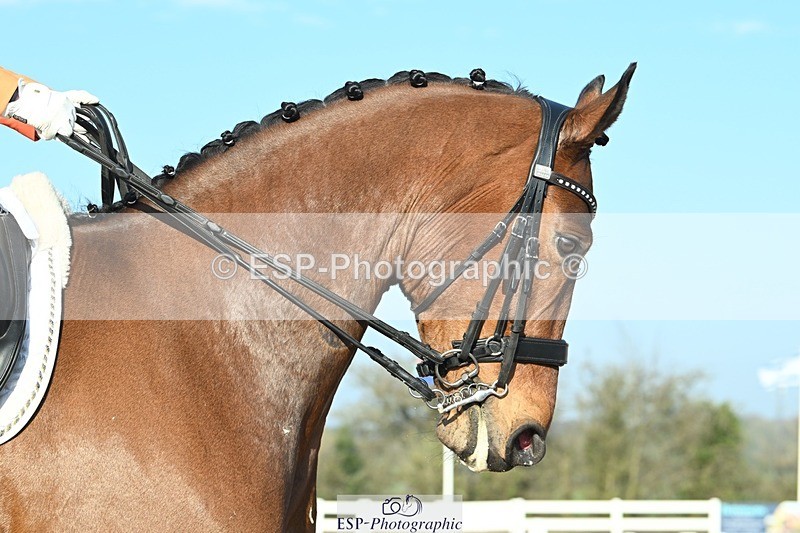 250403-080855-00254 - 038-Tyler.Bradshaw-Mexx