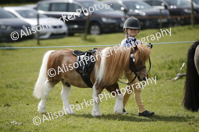 20260426-3447 - Class 11 - Best Mane and Tail