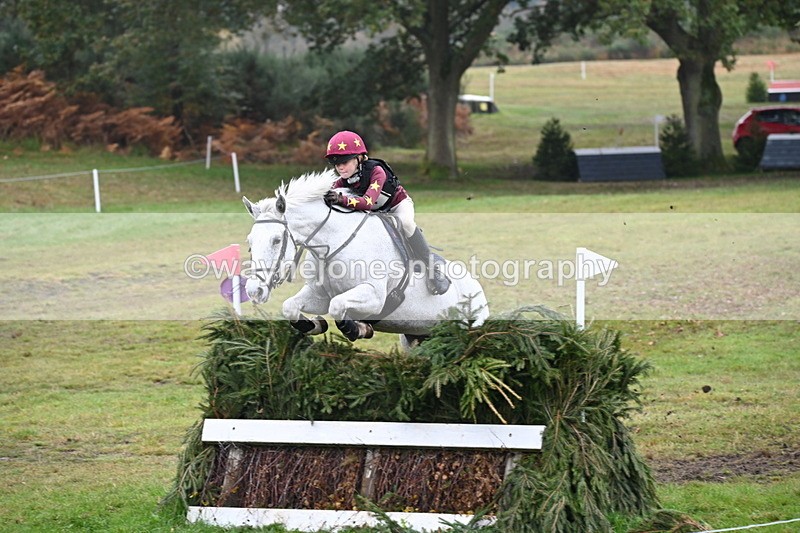 WJ6_2306 - 80cm Cam 1 Time 10:47 to 11:22