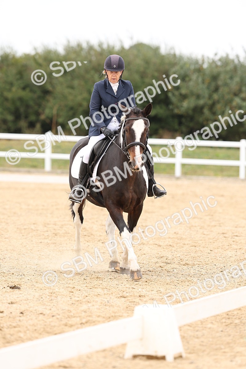 SBM_00884 - Class 8 - Novice 27 Champs