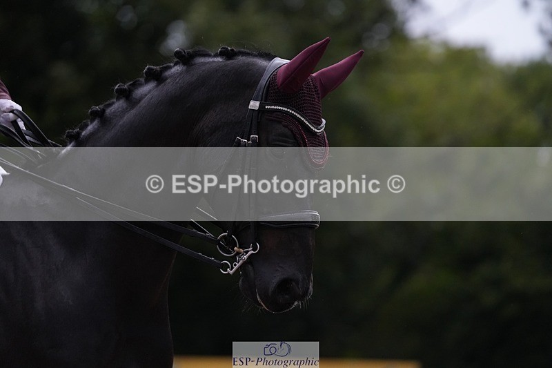 250907-083614-05503 - 086-Jane.LittlejohnNot.just.anyone