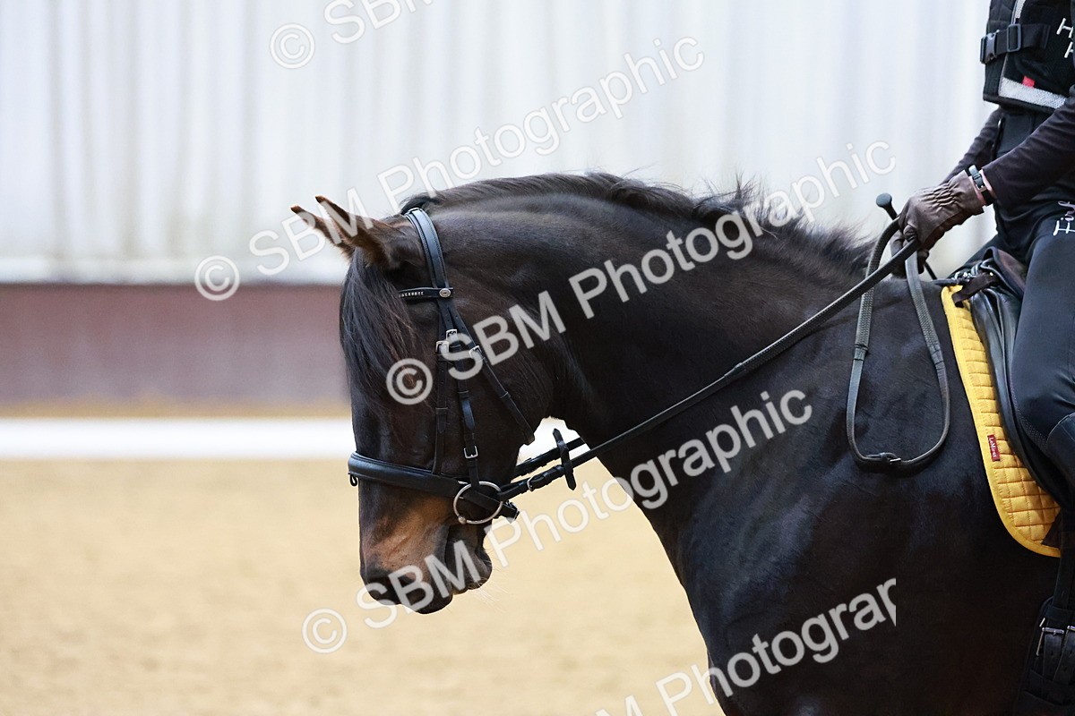 1I0A0667 - Class 3-6 - Prelim 1-Novice 2