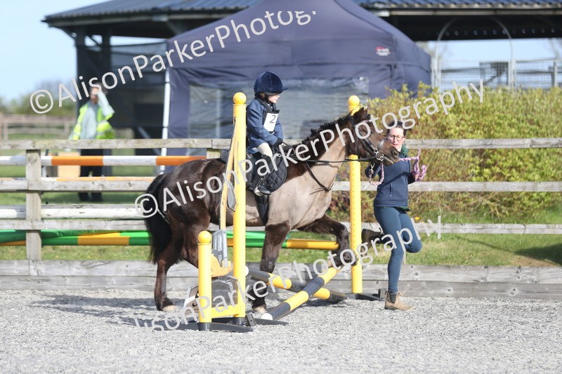 20260412-0037 - Show Jumping