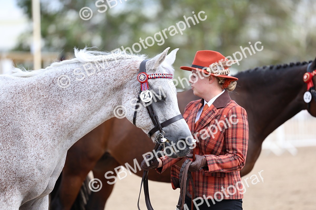 SBM_03982 - Class 25 - IH Foreign Breeds - Pure Bred