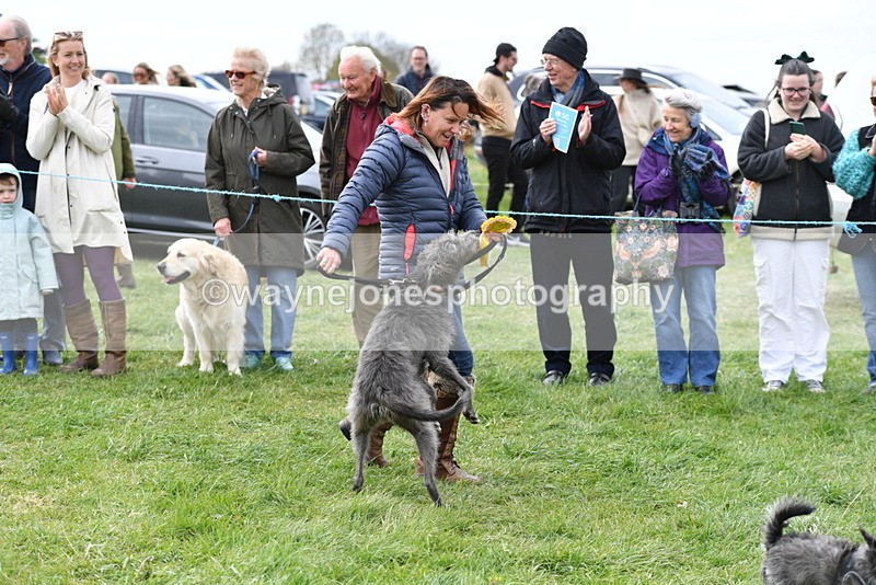 WJ5_9423 - Class 1 Best Cross Breed / Heniz 57