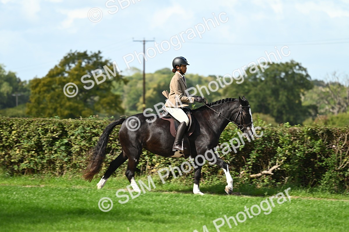 SBM_01940 - S2 - TSR Ridden Horse Showing