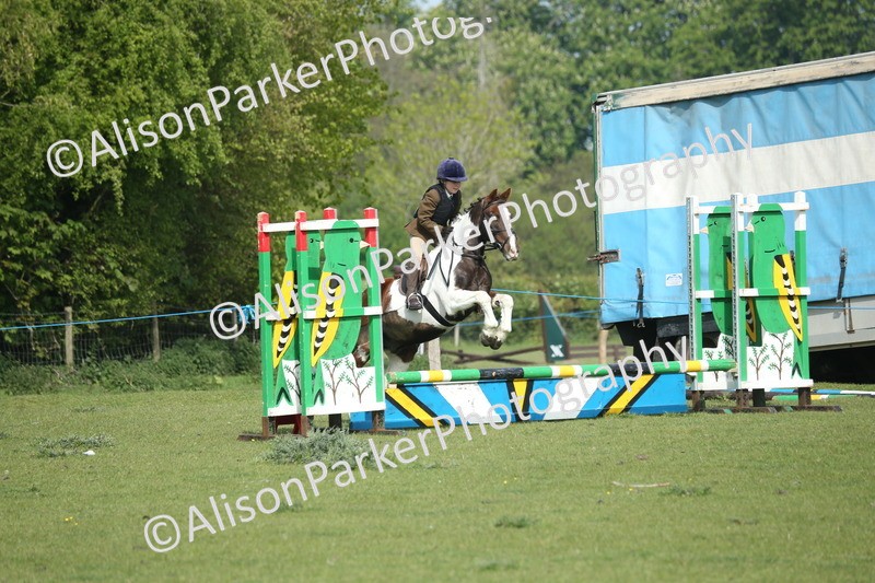20260426-0233 - Class 13 - Rookie Jumping 50cm