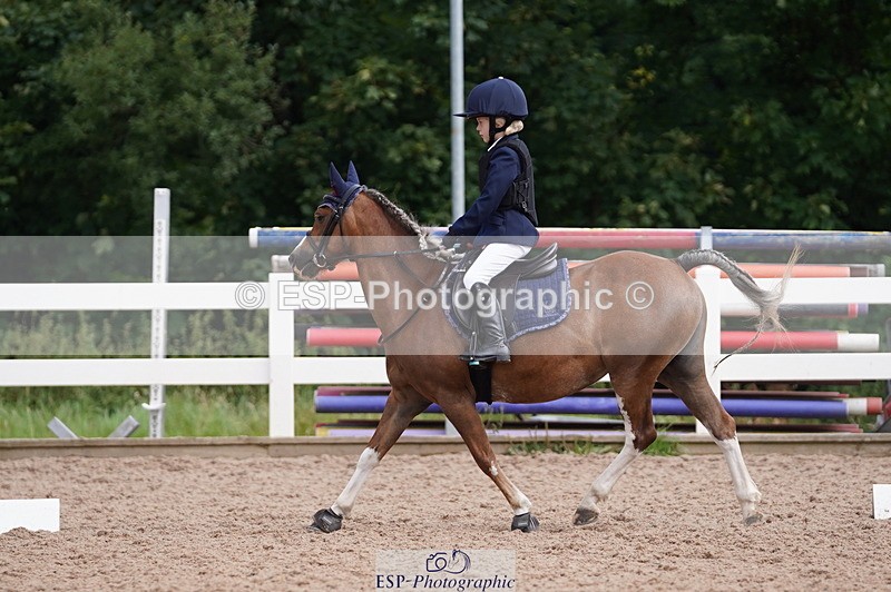 240809A-100532-00417 - Dressage Competition