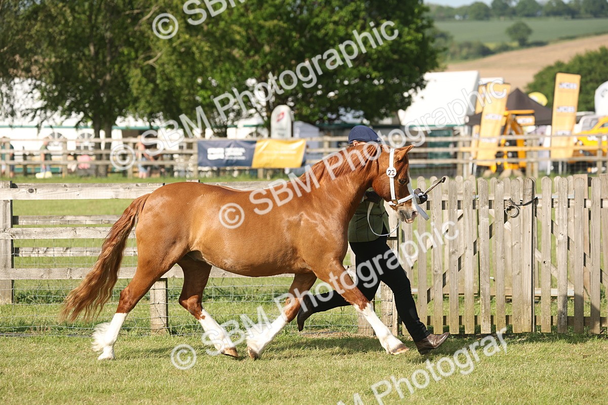 SBM_10443 - Class 33-38 - SSADL RIHS Qualifiers