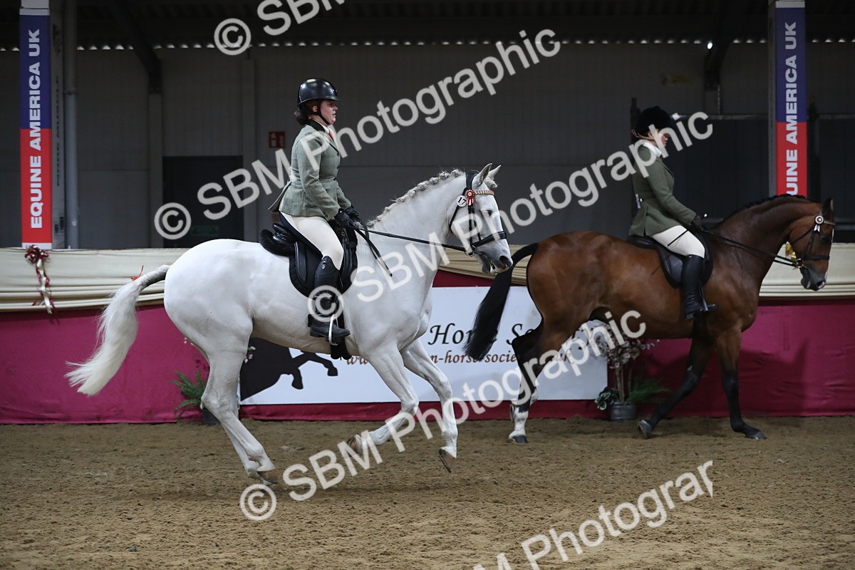 SBM_10371 - Class 102 Equitation (best rider) Adult