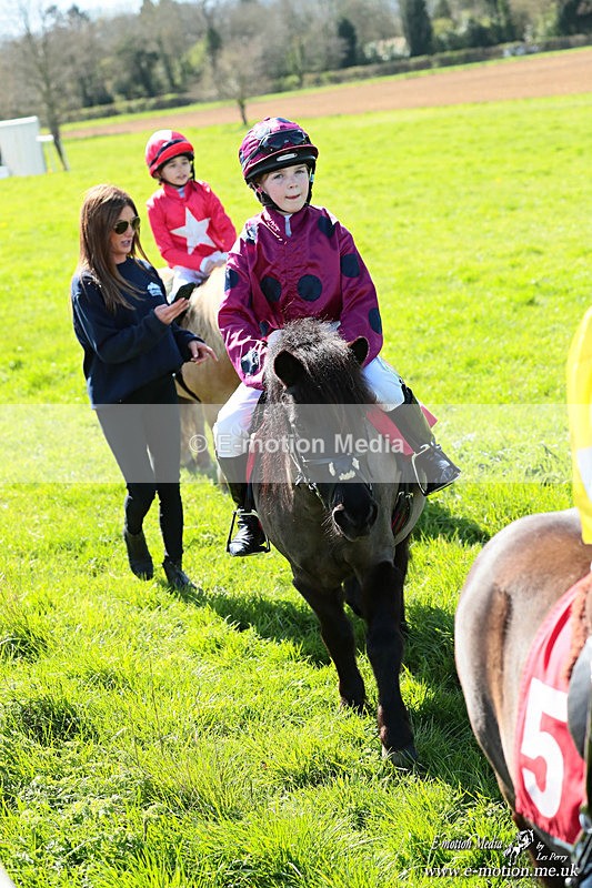 Shet 060426 242 - Shetland Pony Racing Paxford Races Easter Mon 06/04/26