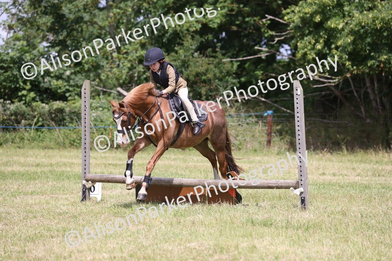 20260614-2000 - Class 21 - Novice Working Hunter Pony