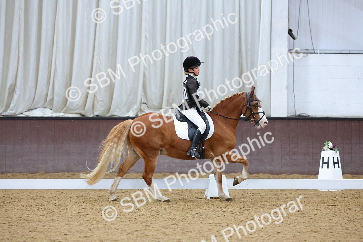 SBM_004205 - Intermediate