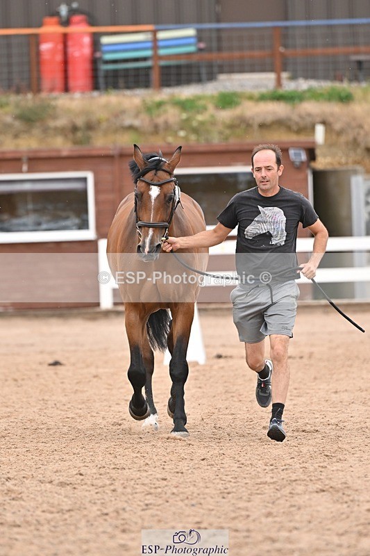 250716-160825-02444 - Trot Up 3.30 to 4.30